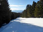 Mittelschwere Piste Doladizza