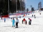 Perfektes Terrain für Familien findet man auch am Lift C.
