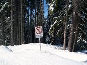 Befahren des Waldes verboten