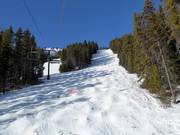 Buckelpiste Kapoof am Mount Norquay