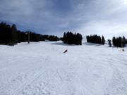Sportliche Waldpiste nach Aebi