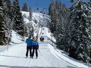 Wastlhöhelift - Schlepplift mit T-Bügel/Anker