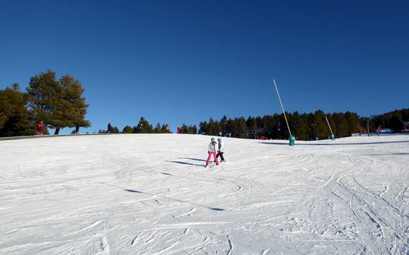 Skigebiete für Anfänger in der Provinz Girona – Anfänger La Molina/Masella – Alp2500