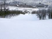 Piste Nr. 40 Douresbakte