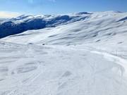 Leichte Abfahrt Hyrtamyra Nr. 19