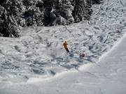 Etwas Tiefschnee geht immer