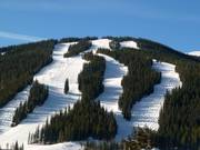 Blick auf die Pisten vom Copper Mountain