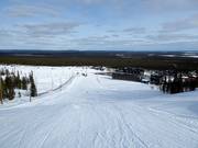 Piste Aleksin Rinne (Nr. 8)