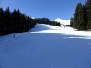 Piste Kreuzboden-Übungshang