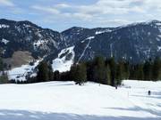 Blick vom Schelpen zum Riedberger Horn