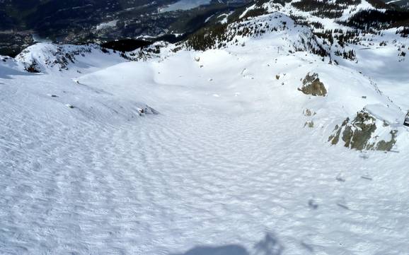 Skigebiete für Könner und Freeriding Garibaldi Ranges – Könner, Freerider Whistler Blackcomb
