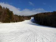 Leichte und attraktive Hochwaldabfahrt
