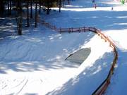Loipentunnel unter dem Schneewittchenhang