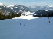 Piste am Gimpinglift