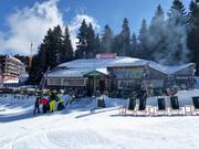 Buongiorno Kopaonik