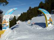 Pitzis Pistenregeln-Weg