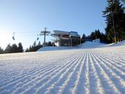 Perfekt präparierte Piste im Skigebiet Zieleniec