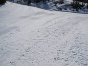 Nur selten trifft man auf etwas ruppige Stellen