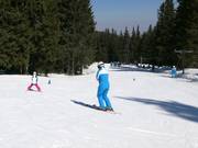 Tellerlift Training in der Nähe von Aleko