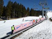 Gospinca - Förderband/Zauberteppich