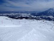 Mittelschwere Piste Wonderland (Nseko Village)