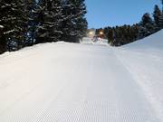 Pistenbully bei der Arbeit