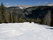 Typische Waldabfahrt in Winter Park