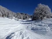 Skiroute Nr. 20 Chapf Talabfahrt