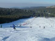 Skihang am Mehliskopf