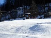 Kehlsteinlift - Schlepplift mit T-Bügel/Anker