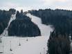 Randgebirge östlich der Mur: Testberichte von Skigebieten – Testbericht Zauberberg Semmering