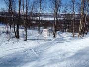 Abfahrt durch den Wald für Kinder