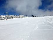 Präparierte Zeigerabfahrt