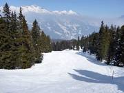 Waldabfahrt Tschuggen