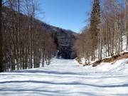 Talabfahrt Žagarjev graben Nr. 14