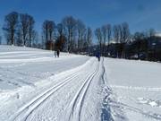 Loipen in Ramsau am Dachstein