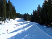 Piste Absam