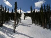 Typische Waldabfahrt in Winter Park