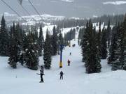 Alpine T-Bar - Schlepplift mit T-Bügel/Anker