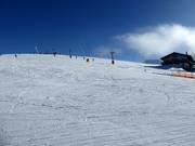 Leichte und breite Piste am Wallerlift Monte Gogo