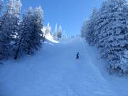 Schwere Piste an der Roßleitenbahn