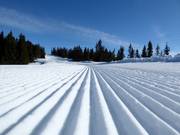 Erstklassige Pistenpräparierung in Hafjell