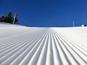 Sehr gute Pistenpräparierung am Arber