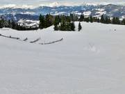 Blaue Familienabfahrt