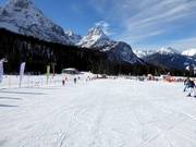 Anfängergelände auf der Ehrwalder Alm