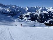 Leichte Pisten am Guetlfläck in Lenk