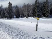 Höhenloipe Schlickeralm: Sehr gut präpariert