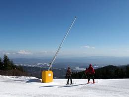 Borovets