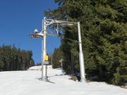 Zalomený (C) - Tellerlift