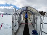 Mouse Trap - Förderband/Zauberteppich mit Überdachung